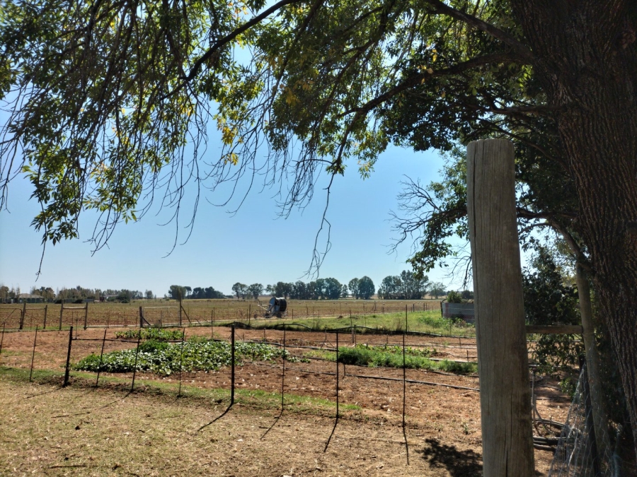 Commercial Property for Sale in Bainsvlei Free State